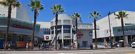 advantage car rental tampa florida.